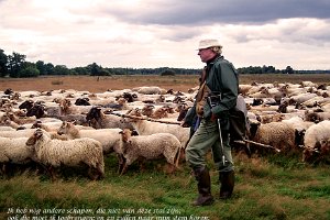 Joh 1016 : Drenthe, Heide, Herder, Schaapskudde